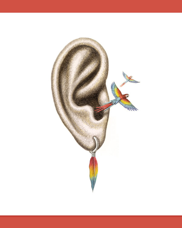 Quear-ring Print | The Feather