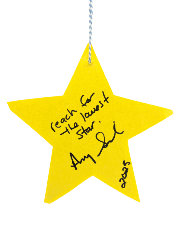 Jerri Blank's The Lowest Star Ornament Raffle Ticket<br><br><span>Handmade by Amy Sedaris