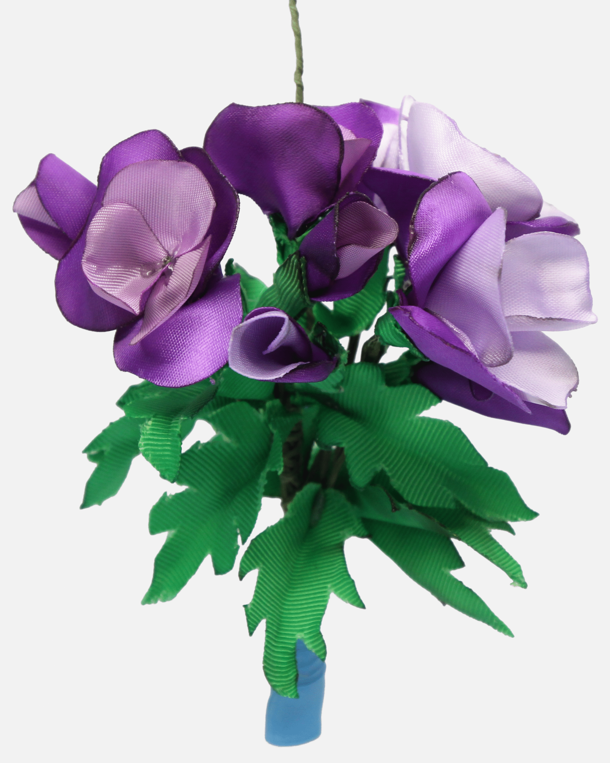 TUSSIE_MUSSIE_1 TUSSIE_MUSSIE_1